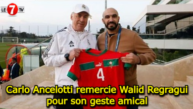 Photo of Carlo Ancelotti remercie Walid Regragui pour son geste amical (vidéo)