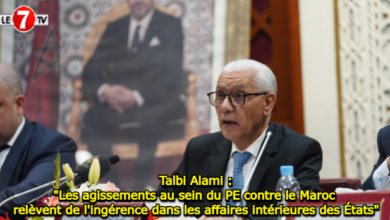 Photo of Talbi Alami : « Les agissements au sein du PE contre le Maroc relèvent de l’ingérence dans les affaires intérieures des États »