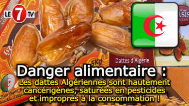 Photo of Les dattes Algériennes sont hautement cancérigènes, saturées en pesticides et impropres à la consommation !