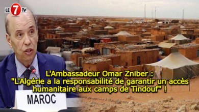 Photo of L’Ambassadeur Omar Zniber : « L’Algérie a la responsabilité de garantir un accès humanitaire aux camps de Tindouf » !