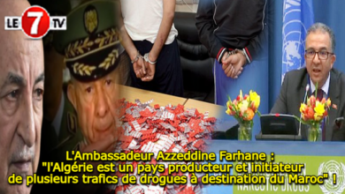 Photo of L’Ambassadeur Azzeddine Farhane : « l’Algérie est un pays producteur et initiateur de plusieurs trafics de drogues à destination du Maroc » !