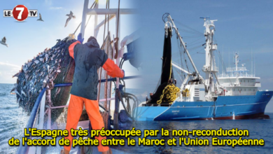 Photo of L’Espagne très préoccupée par la non-reconduction de l’accord de pêche entre le Maroc et l’Union Européenne