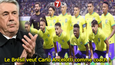 Photo of Football: Le Brésil veut Carlo Ancelotti comme coach !