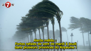 Photo of Alerte météo : Fortes rafales de vent de mardi à jeudi dans plusieurs provinces du Royaume !