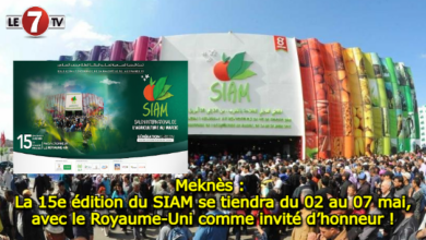 Photo of Meknès : La 15e édition du SIAM se tiendra du 02 au 07 mai, avec le Royaume-Uni comme invité d’honneur !