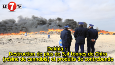 Photo of Dakhla : Destruction de plus de 3,4 tonnes de Chira (résine de cannabis) et produits de contrebande