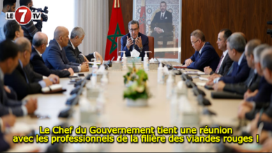 Photo of Le Chef du Gouvernement tient une réunion avec les professionnels de la filière des viandes rouges