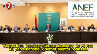 Photo of Valorisation des écosystèmes forestiers du Maroc: 10 parcs nationaux seront bientôt reclassés