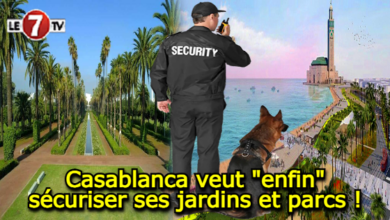 Photo of Casablanca veut « enfin » sécuriser ses jardins et parcs !