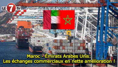 Photo of Maroc – Émirats Arabes Unis: Les échanges commerciaux en nette amélioration !