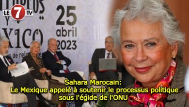 Photo of Sahara Marocain: Le Mexique appelé à soutenir le processus politique sous l’égide de l’ONU (responsable mexicaine)