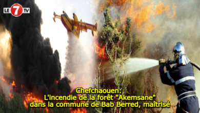 Photo of Chefchaouen: L’incendie de la forêt « Akemsane » dans la commune de Bab Berred, maîtrisé