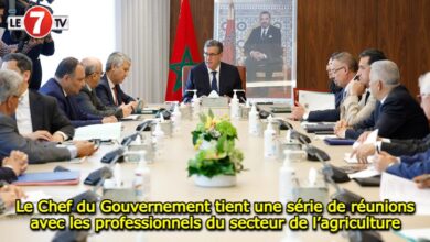 Photo of Le Chef du Gouvernement tient une série de réunions avec les professionnels du secteur de l’agriculture