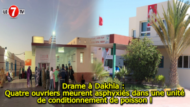 Photo of Drame à Dakhla : Quatre ouvriers meurent asphyxiés dans une unité de conditionnement de poisson !