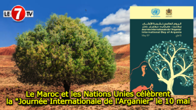 Photo of Le Maroc et les Nations Unies célèbrent de la « Journée Internationale de l’Arganier » le 10 mai