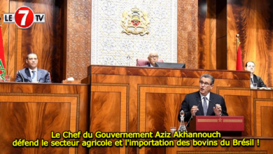 Photo of Le Chef du Gouvernement Aziz Akhannouch défend le secteur agricole et l’importation des bovins du Brésil !