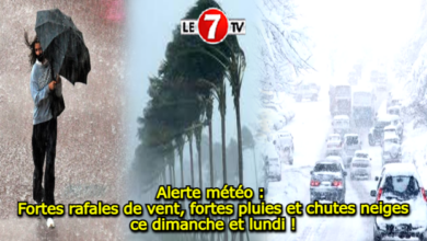 Photo of Alerte météo : Fortes rafales de vent, fortes pluies et chutes neiges ce dimanche et lundi !