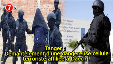 Photo of Tanger : Démantèlement d’une dangereuse cellule terroriste affiliée à Daech !