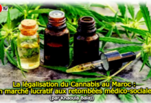 Photo of La légalisation du Cannabis au Maroc : Un marché lucratif aux retombées médico-sociales (par Khaoula Balaj)