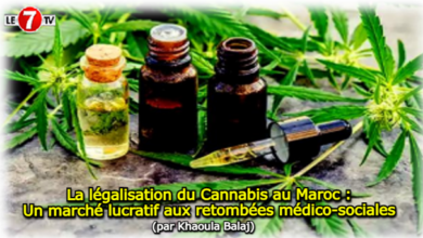 Photo of La légalisation du Cannabis au Maroc : Un marché lucratif aux retombées médico-sociales (par Khaoula Balaj)