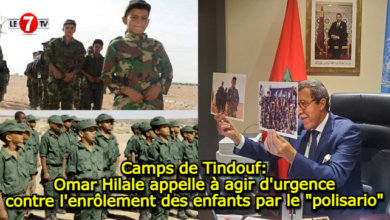 Photo of Camps de Tindouf: Omar Hilale appelle à agir d’urgence contre l’enrôlement des enfants par le « polisario »