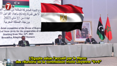 Photo of L’Egypte salue l’accueil par le Maroc des réunions de la commission mixte Libyenne « 6+6 »