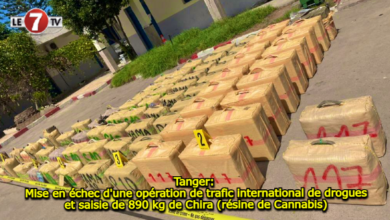 Photo of Tanger: Mise en échec d’une opération de trafic international de drogues et saisie de 890 kg de Chira (résine de Cannabis)