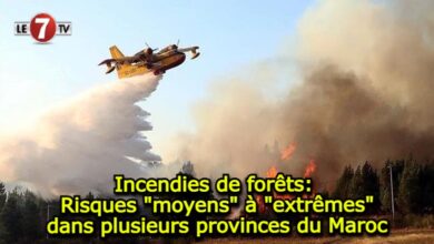 Photo of Incendies de forêts: Risques « moyens » à « extrêmes » dans plusieurs provinces du Maroc