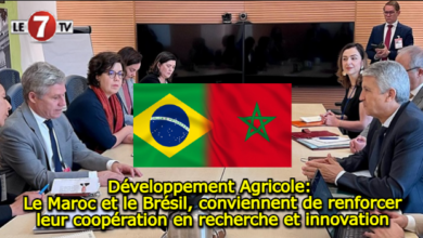 Photo of Développement Agricole: Le Maroc et le Brésil, conviennent de renforcer leur coopération en recherche et innovation