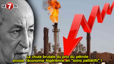 Photo of La chute brutale du prix du pétrole envoie l’économie Algérienne en soins palliatifs !