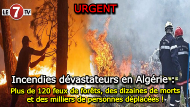 Photo of Incendies dévastateurs en Algérie : Plus de 120 feux de forêts, des dizaines de morts et des milliers de personnes déplacées !