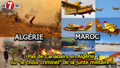 Photo of Pas de Canadairs en Algérie ou « le choix criminel » de la junte militaire !