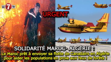 Photo of Solidarité : Le Maroc prêt à envoyer sa flotte de Canadairs en Algérie pour aider les populations en proie aux feux de forêts