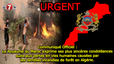 Photo of Officiel : Le Royaume du Maroc exprime ses plus sincères condoléances suite aux pertes en vies humaines causées par les terribles incendies de forêt en Algérie.