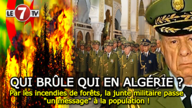 Photo of QUI BRÛLE QUI EN ALGÉRIE ?… Par les incendies de forêts, la junte militaire passe « un message » à la population !