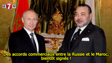 Photo of Des accords commerciaux entre la Russie et le Maroc, bientôt signés !