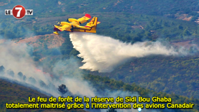 Photo of Le feu de forêt de la réserve de Sidi Bou Ghaba totalement maitrisé grâce à l’intervention des avions Canadair