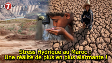 Photo of Stress Hydrique au Maroc : Une réalité de plus en plus alarmante !