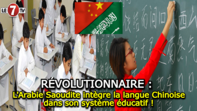 Photo of L’Arabie Saoudite intègre la langue Chinoise dans son système éducatif !