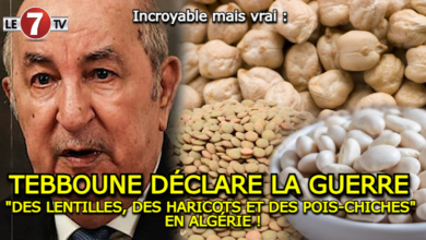 Photo of TEBBOUNE DÉCLARE LA GUERRE « DES LENTILLES, DES HARICOTS ET DES POIS-CHICHES » EN ALGÉRIE !