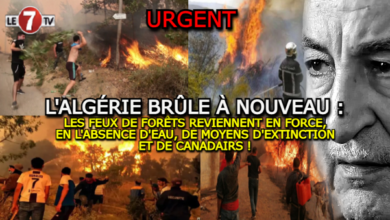 Photo of LES FEUX DE FORÊTS REVIENNENT EN FORCE EN ALGÉRIE, EN L’ABSENCE D’EAU, DE MOYENS D’EXTINCTION ET DE CANADAIRS !