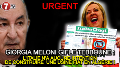 Photo of GIORGIA MELONI GIFLE TEBBOUNE : L’ITALIE N’A AUCUNE INTENTION DE CONSTRUIRE UNE USINE FIAT EN ALGÉRIE !