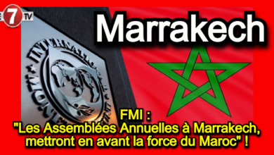 Photo of FMI : « Les Assemblées Annuelles à Marrakech, mettront en avant la force du Maroc » !