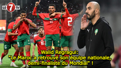 Photo of Walid Regragui: « Le Maroc a retrouvé son équipe nationale, demi-finaliste du Mondial » !