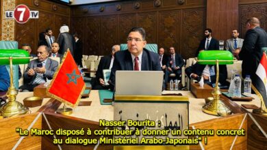 Photo of Nasser Bourita : « Le Maroc disposé à contribuer à donner un contenu concret au dialogue Ministériel Arabo-Japonais » !