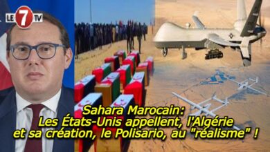 Photo of Sahara Marocain: Les États-Unis appellent, l’Algérie et sa création, le Polisario, au « réalisme » !