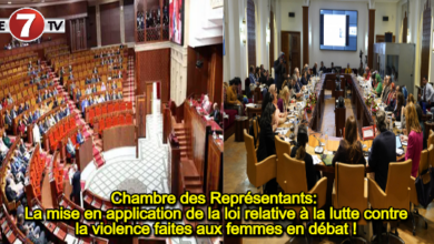 Photo of Chambre des Représentants: La mise en application de la loi relative à la lutte contre la violence faites aux femmes en débat !