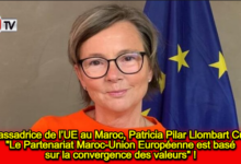 Photo of L’Ambassadrice de l’UE au Maroc, Patricia Pilar Llombart Cussac : « Le Partenariat Maroc-Union Européenne est basé sur la convergence des valeurs » !