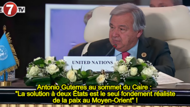 Photo of Antonio Guterres au sommet du Caire : « La solution à deux États est le seul fondement réaliste de la paix au Moyen-Orient » !