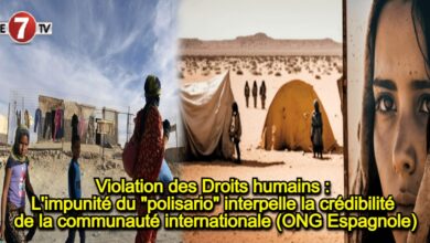 Photo of Violation des Droits humains : L’impunité du « polisario » interpelle la crédibilité de la communauté internationale (ONG Espagnole)